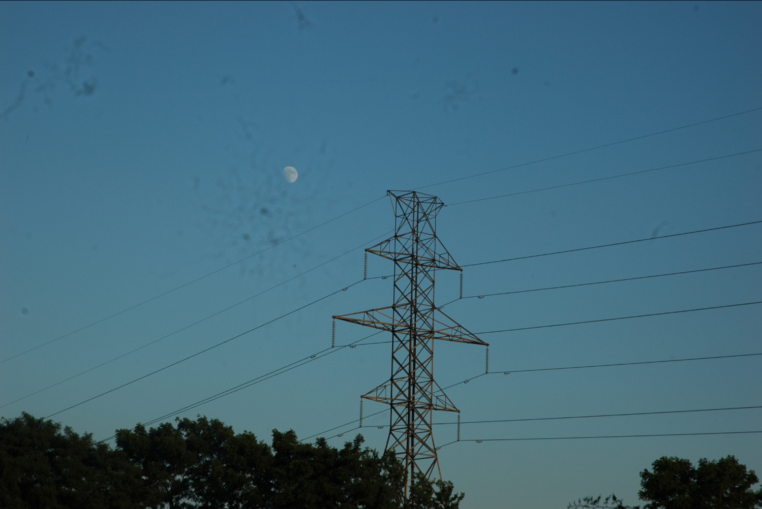 Fungi with moon